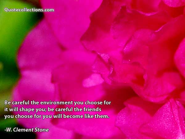 W.Clement Stone Quotes2